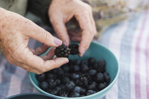 hand-holding-fresh-blackberry